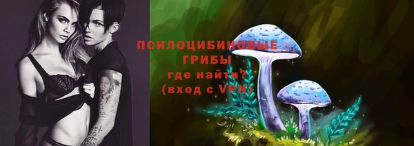гидропоника Менделеевск