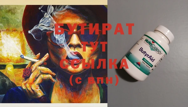 индика Осташков